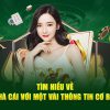 Red88 – Review chi tiết nhà cái uy tín hàng đầu 2021